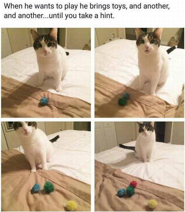 Daily Picdump