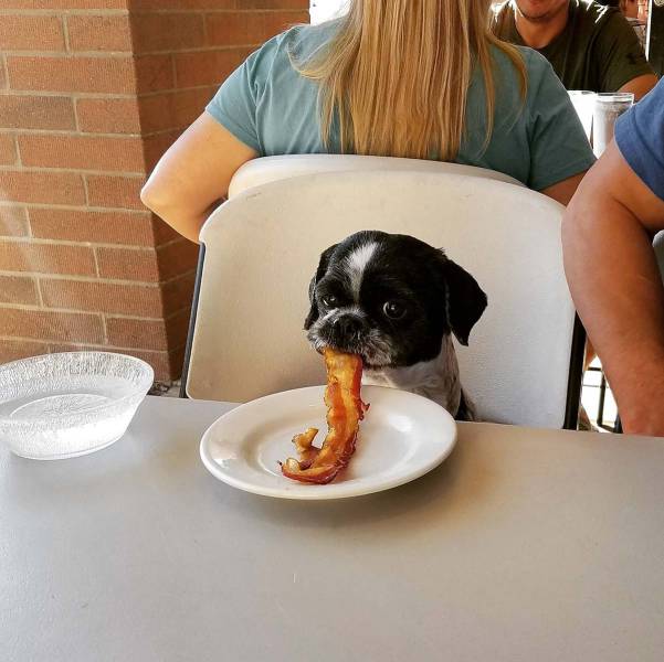 Morning Picdump