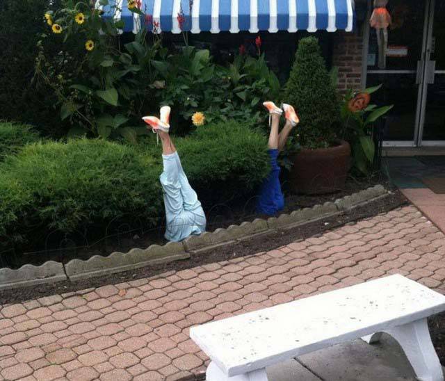 Morning Picdump