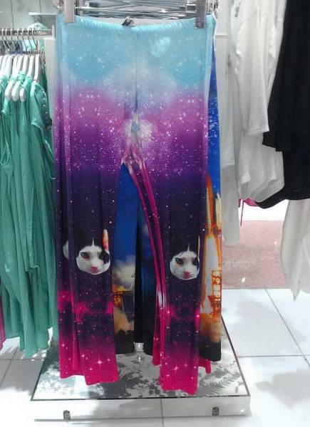 Morning Picdump