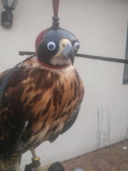 Morning Picdump