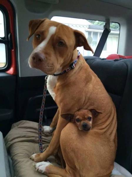 morning picdump 51 pics 10.html - 51 HD Photos | Premium Gallery 2017