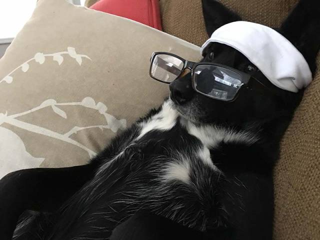 morning picdump 51 pics 10.html - 51 HD Photos | Premium Gallery 2017