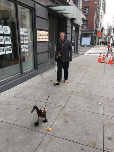 morning picdump 51 pics 10.html - 51 HD Photos | Premium Gallery 2017
