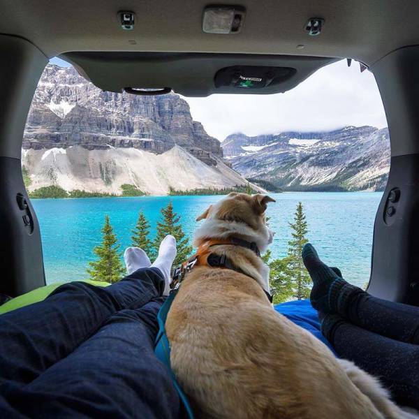 morning picdump 52 pics 22.html - 52 HD Photos | Premium Gallery 2017