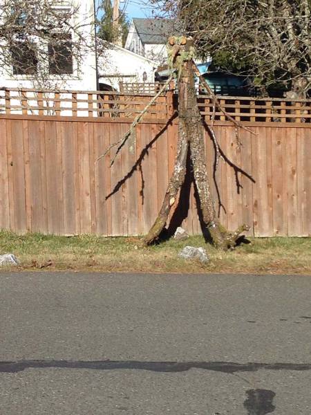 morning picdump 52 pics 22.html - 52 HD Photos | Premium Gallery 2017