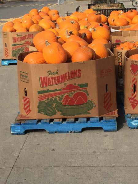 morning picdump 52 pics 22.html - 52 HD Photos | Premium Gallery 2017