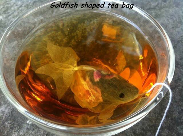 Daily Picdump [WEEKEND EDITION]