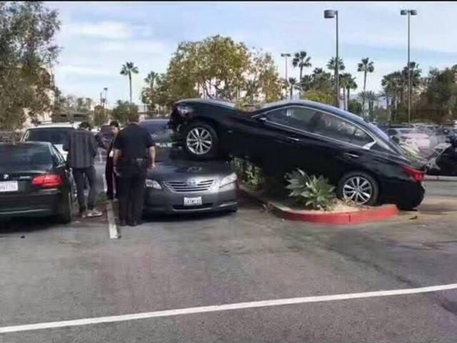 Daily Picdump [WEEKEND EDITION]