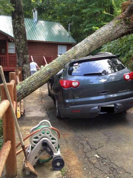 Daily Picdump [WEEKEND EDITION]