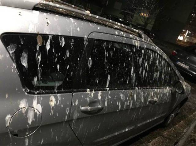 Daily Picdump [WEEKEND EDITION]