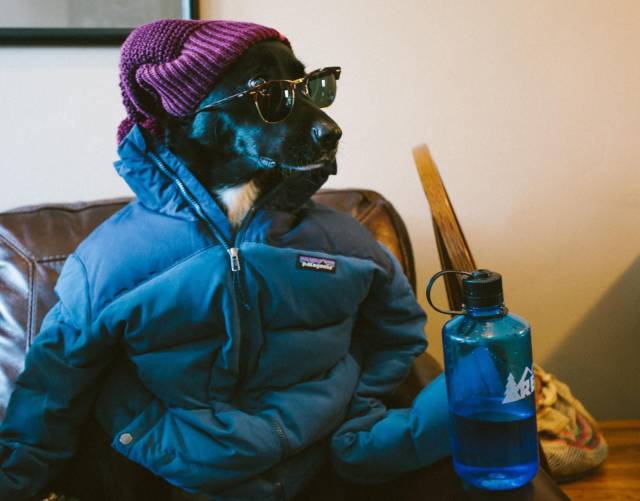 daily picdump weekend edition 67 pics 9.html - 67 HD Photos | Premium Gallery 2017