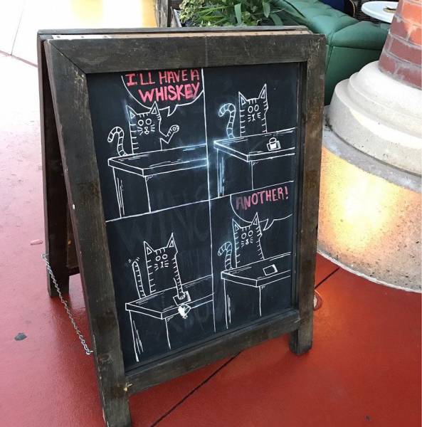 daily picdump weekend edition 67 pics 9.html - 67 HD Photos | Premium Gallery 2017