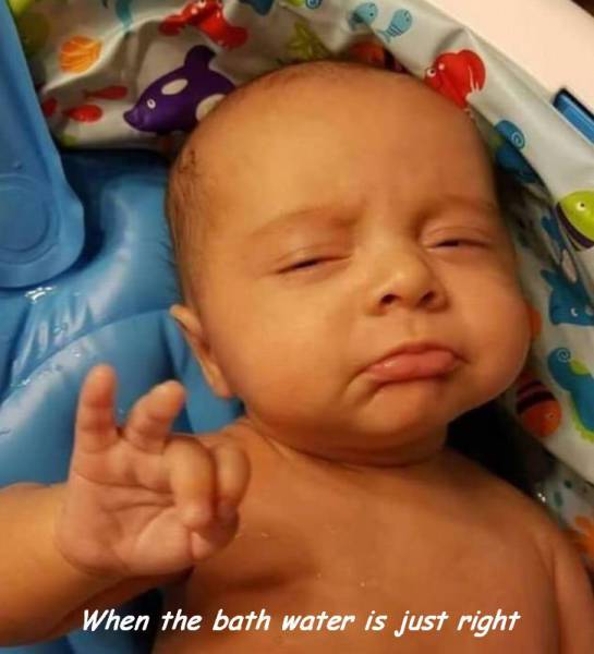 daily picdump weekend edition 67 pics 9.html - 67 HD Photos | Premium Gallery 2017