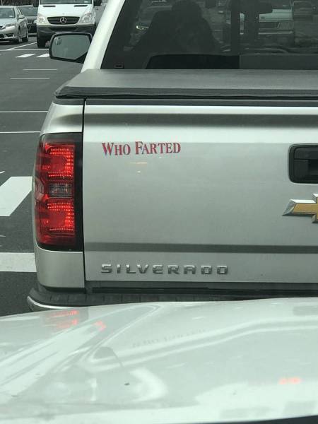 daily picdump weekend edition 67 pics 9.html - 67 HD Photos | Premium Gallery 2017