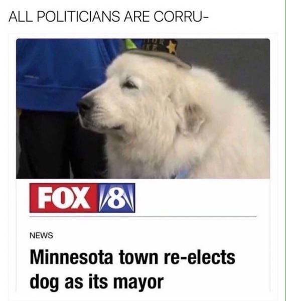 daily picdump weekend edition 67 pics 9.html - 67 HD Photos | Premium Gallery 2017