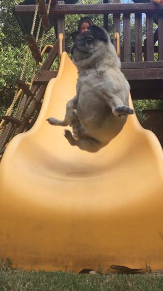 daily picdump 106 pics 41.html - 106 HD Photos | Premium Gallery 2017