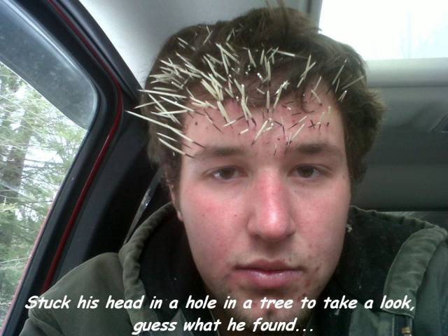 daily picdump 106 pics 41.html - 106 HD Photos | Premium Gallery 2017