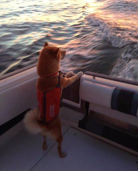 daily picdump 106 pics 41.html - 106 HD Photos | Premium Gallery 2017