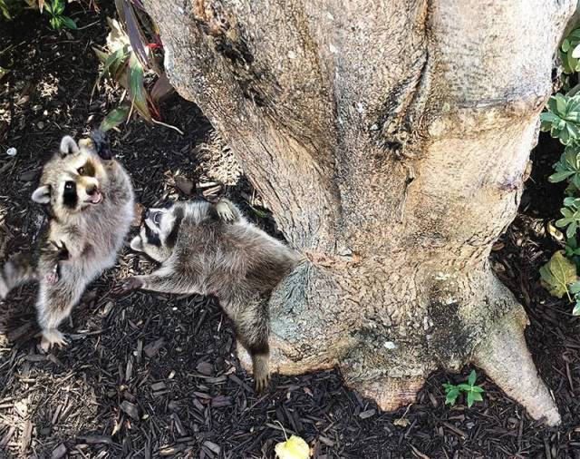 daily picdump 106 pics 41.html - 106 HD Photos | Premium Gallery 2017