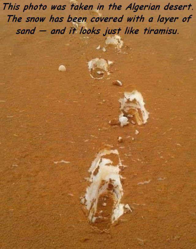 daily picdump 106 pics 41.html - 106 HD Photos | Premium Gallery 2017