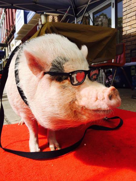 daily picdump 101 pics 26.html - 101 HD Photos | Premium Gallery 2017