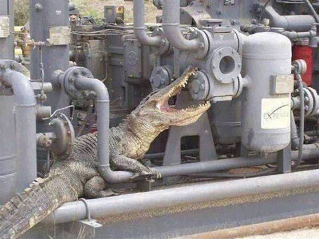 daily picdump 101 pics 26.html - 101 HD Photos | Premium Gallery 2017