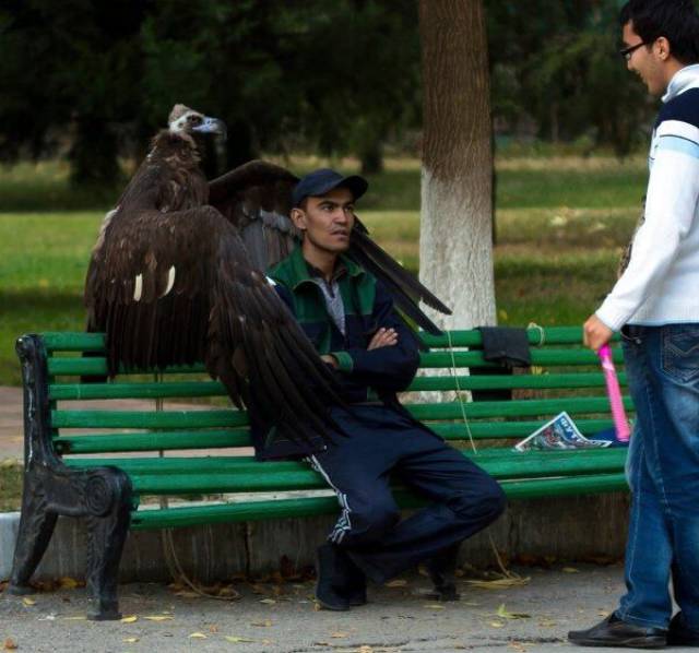 daily picdump 101 pics 26.html - 101 HD Photos | Premium Gallery 2017