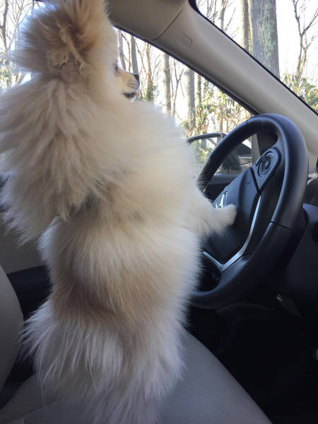 morning picdump 55 pics 14.html - 55 HD Photos | Premium Gallery 2017