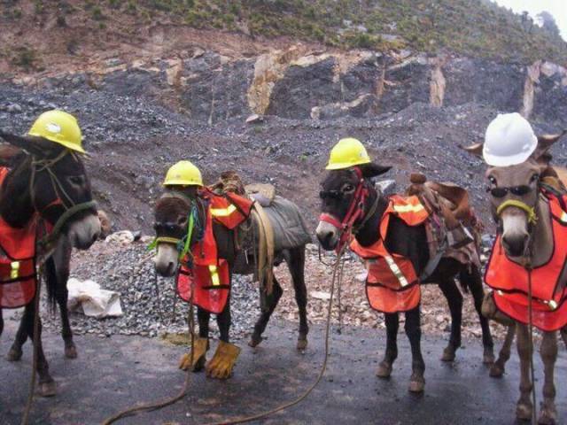 morning picdump 55 pics 14.html - 55 HD Photos | Premium Gallery 2017