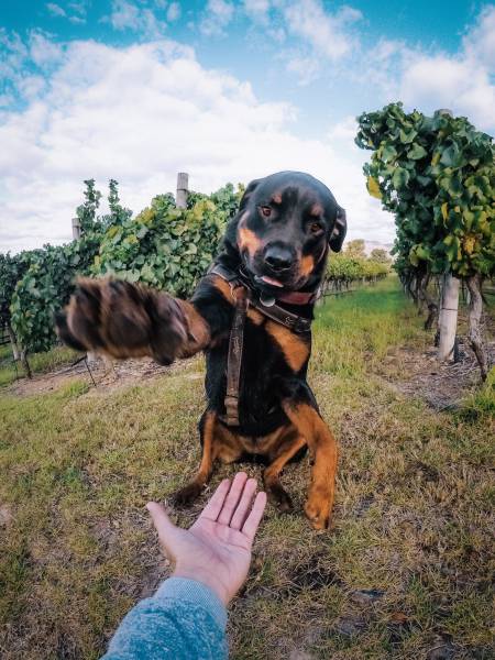 morning picdump 55 pics 14.html - 55 HD Photos | Premium Gallery 2017