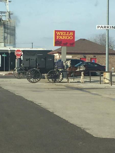 morning picdump 50 pics 18.html - 50 HD Photos | Premium Gallery 2017