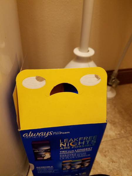 morning picdump 50 pics 18.html - 50 HD Photos | Premium Gallery 2017