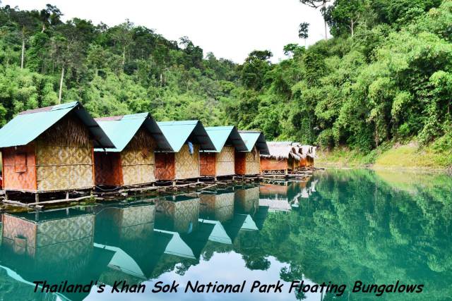 daily picdump 95 pics 39.html - 95 HD Photos | Premium Gallery 2017