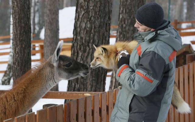 daily picdump 95 pics 39.html - 95 HD Photos | Premium Gallery 2017