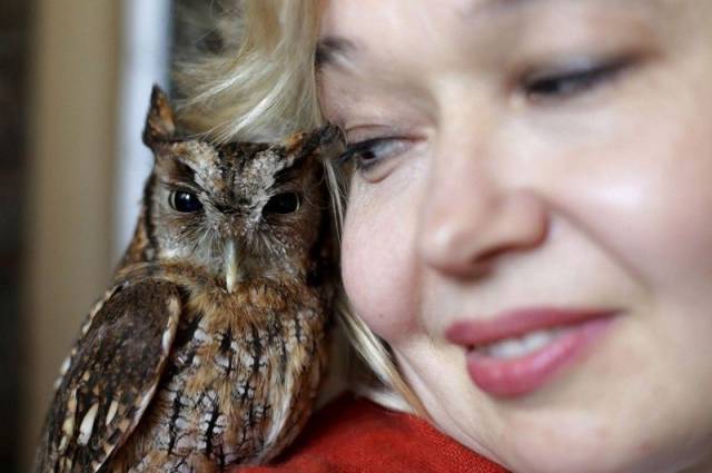 daily picdump 95 pics 39.html - 95 HD Photos | Premium Gallery 2017