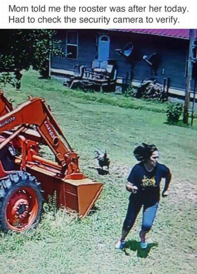 daily picdump 95 pics 39.html - 95 HD Photos | Premium Gallery 2017