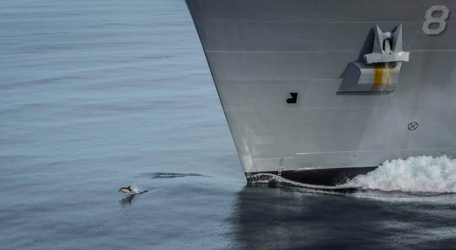 morning picdump 53 pics 21.html - 53 HD Photos | Premium Gallery 2017