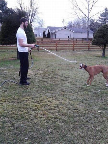 daily picdump 102 pics 32.html - 102 HD Photos | Premium Gallery 2017