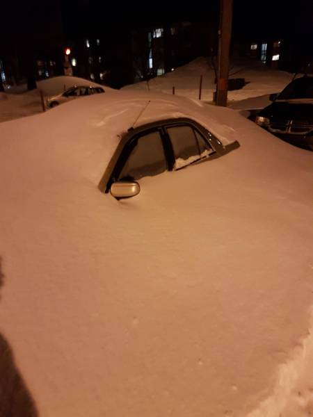 daily picdump 102 pics 32.html - 102 HD Photos | Premium Gallery 2017