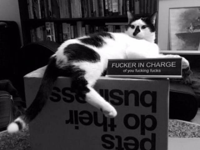 daily picdump 102 pics 32.html - 102 HD Photos | Premium Gallery 2017