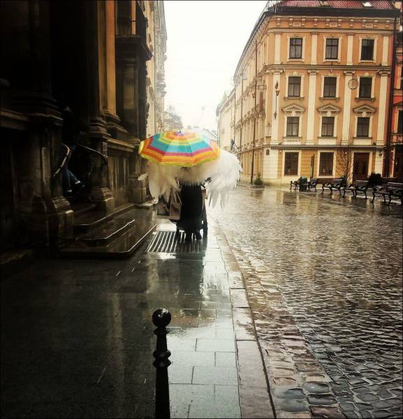 daily picdump 102 pics 32.html - 102 HD Photos | Premium Gallery 2017