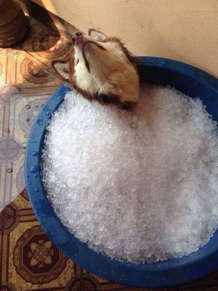 daily picdump 102 pics 32.html - 102 HD Photos | Premium Gallery 2017