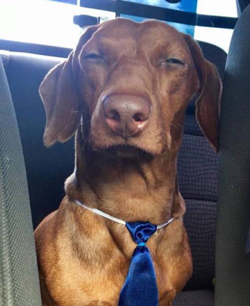 daily picdump 102 pics 32.html - 102 HD Photos | Premium Gallery 2017