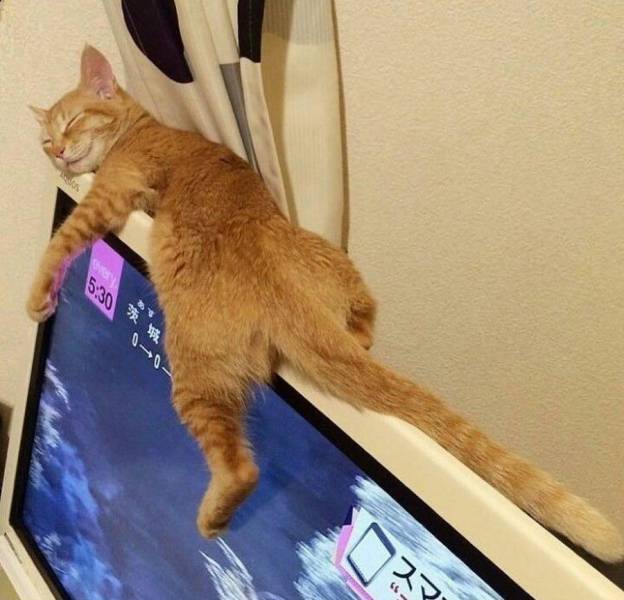 daily picdump 102 pics 32.html - 102 HD Photos | Premium Gallery 2017