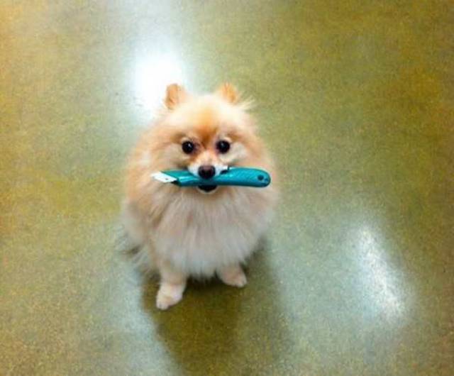 daily picdump 102 pics 32.html - 102 HD Photos | Premium Gallery 2017