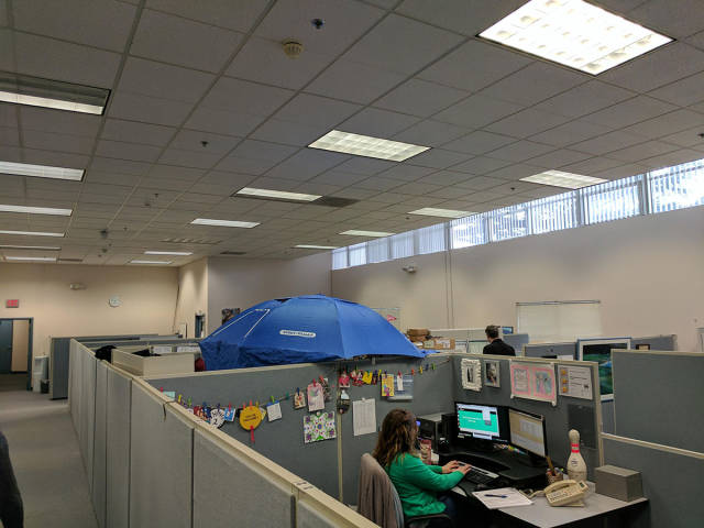 morning picdump 50 pics 4.html - 50 HD Photos | Premium Gallery 2017