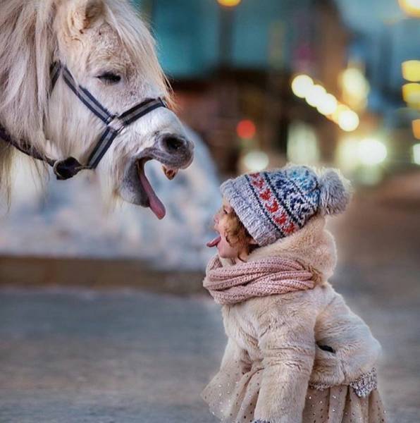 Daily Picdump [WEEKEND EDITION]