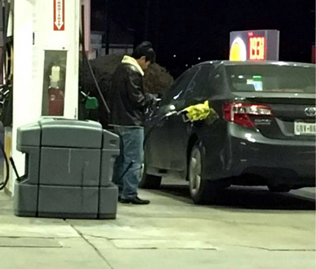 Daily Picdump [WEEKEND EDITION]