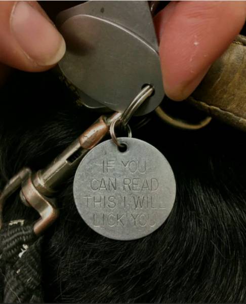 Daily Picdump [WEEKEND EDITION]